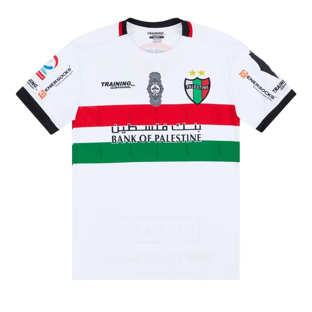 Palestine 2018 Third Kit